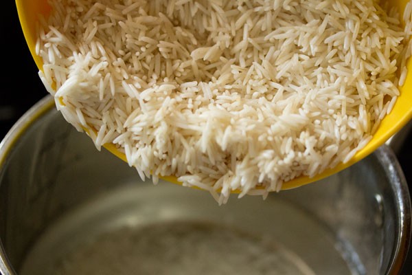 adding rice to hot water. 