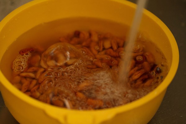 rinsing soaked kidney beans under running water. 