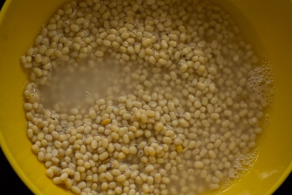 rinse the urad dal and fenugreek seeds