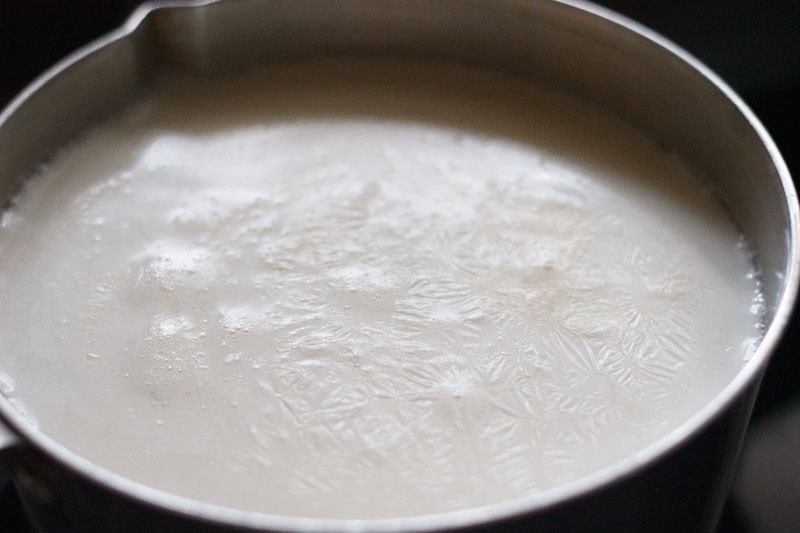 boiling whole milk in a saucepan to make chenna. 