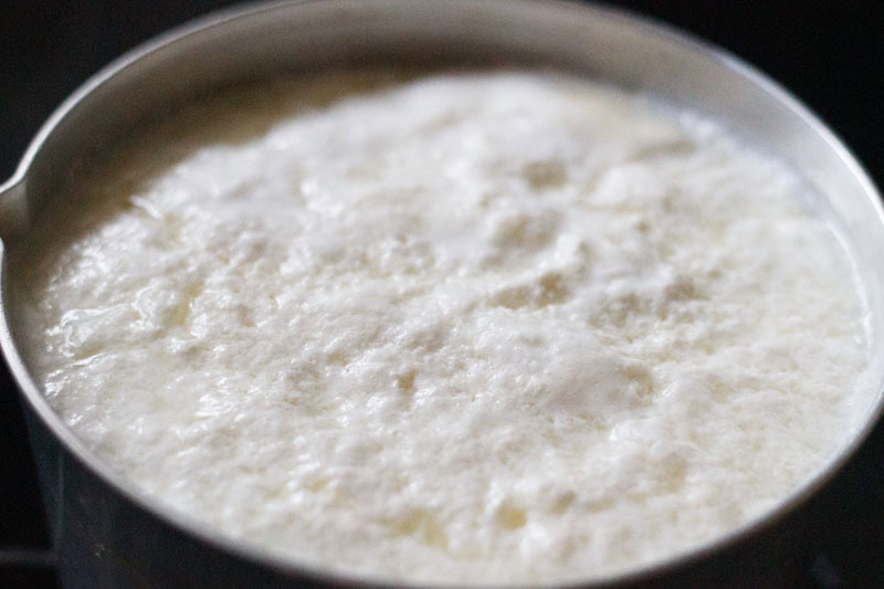 curdled milk to make chhena. 