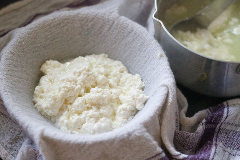 curdled milk added to a pan or bowl lined with muslin cloth. 