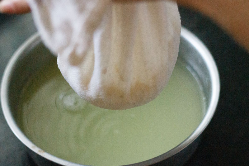 squeezing out whey from curdled milk to make chenna. 