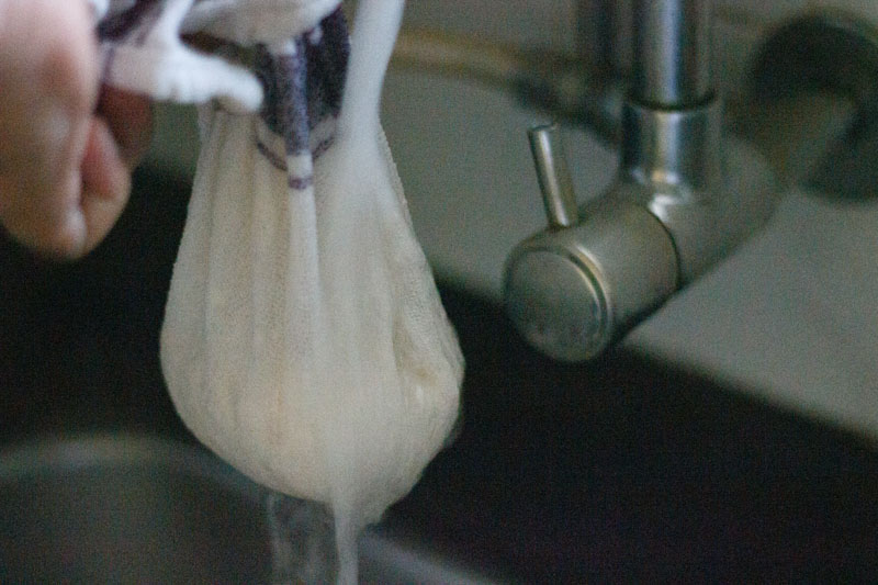 squeezing out whey from curdled milk to make chhena. 