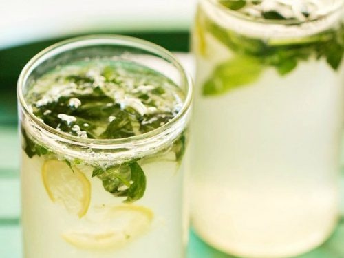 Virgin Mojito Recipe Refreshing Mojito Mocktail