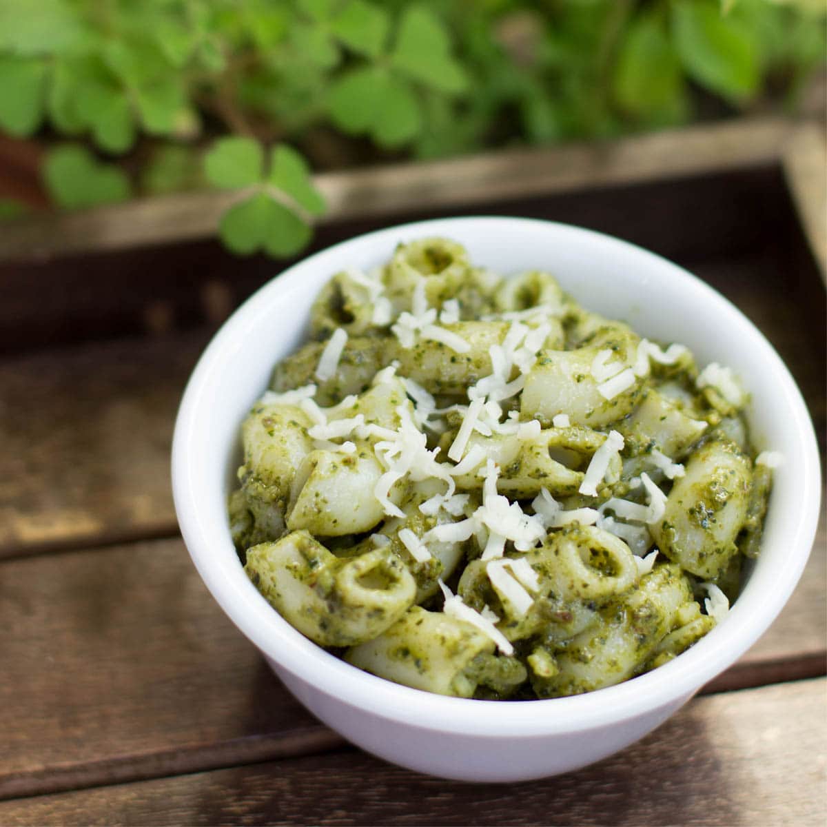 pesto pasta served in a white bowl topped with some grated parmesan on a dark brown wooden tray with a background of potted green leaves.