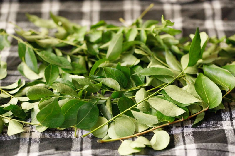 curry leaves stems drying on a black and white checkered napkin.